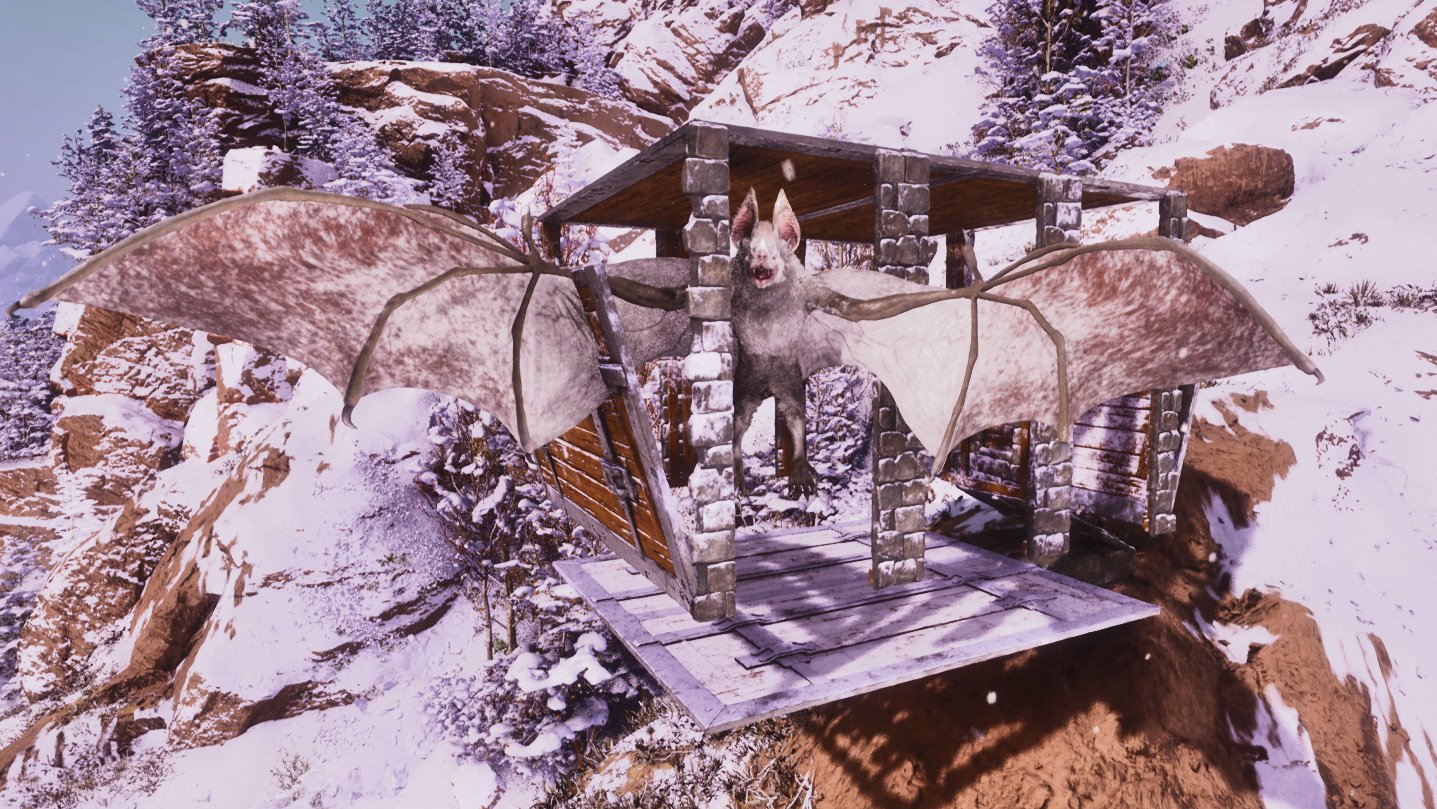 Desmodus Bottomed Trap