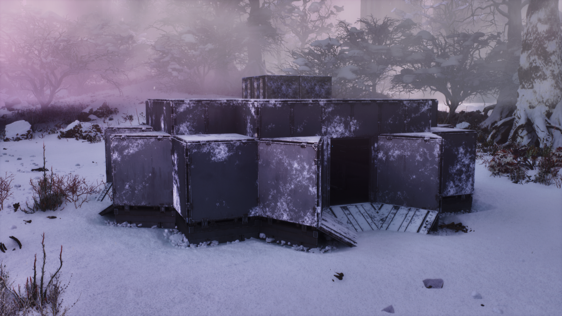 MODERATE NEOPHYTE TRAP