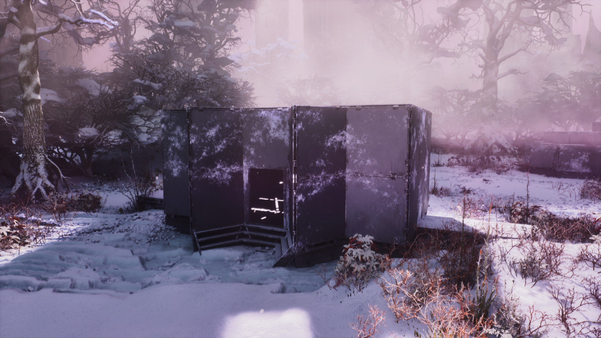 ADVANCED NEOPHYTE TRAP