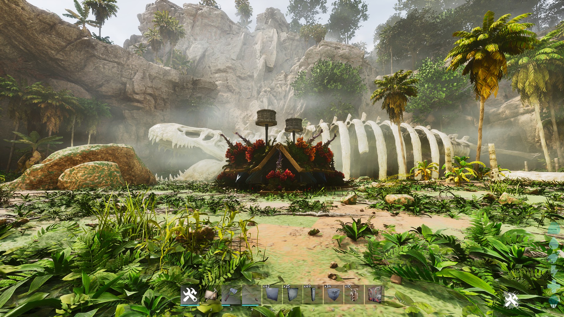 Starter Tortoise *Update 1*