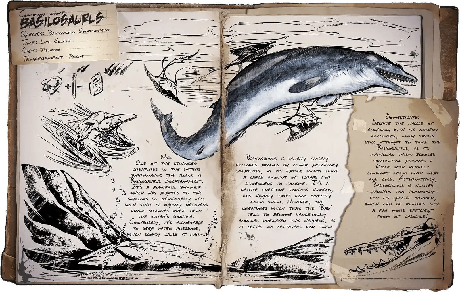 Basilosaurus Dossier