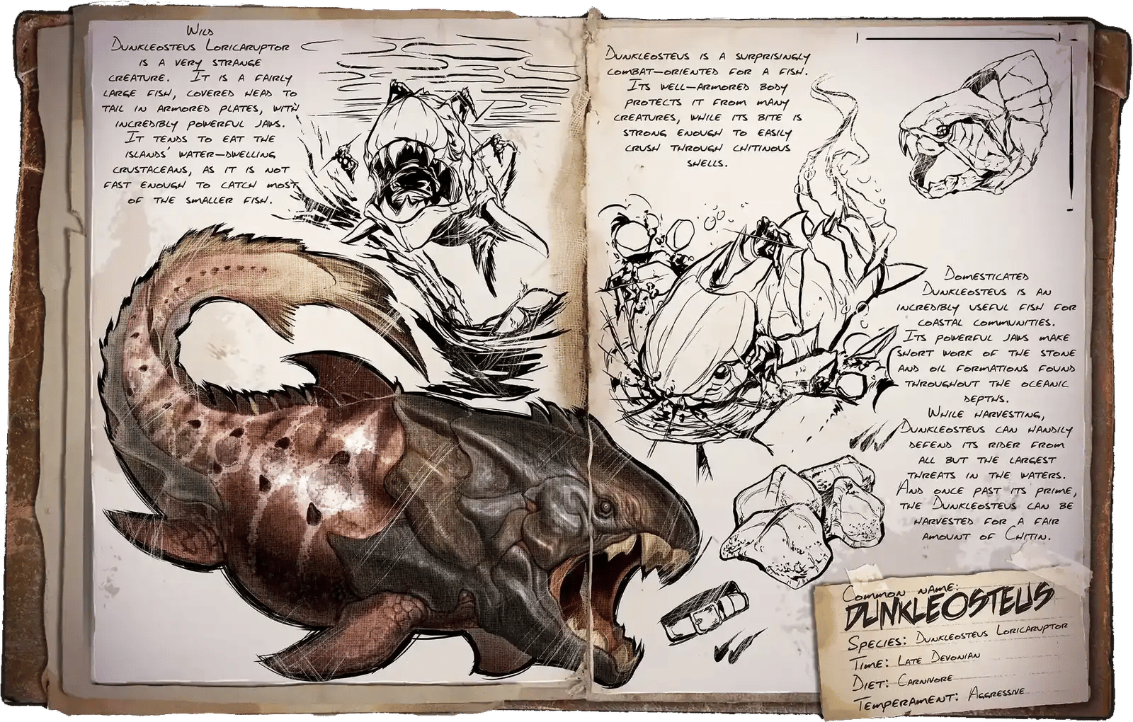 Dunkleosteus Dossier