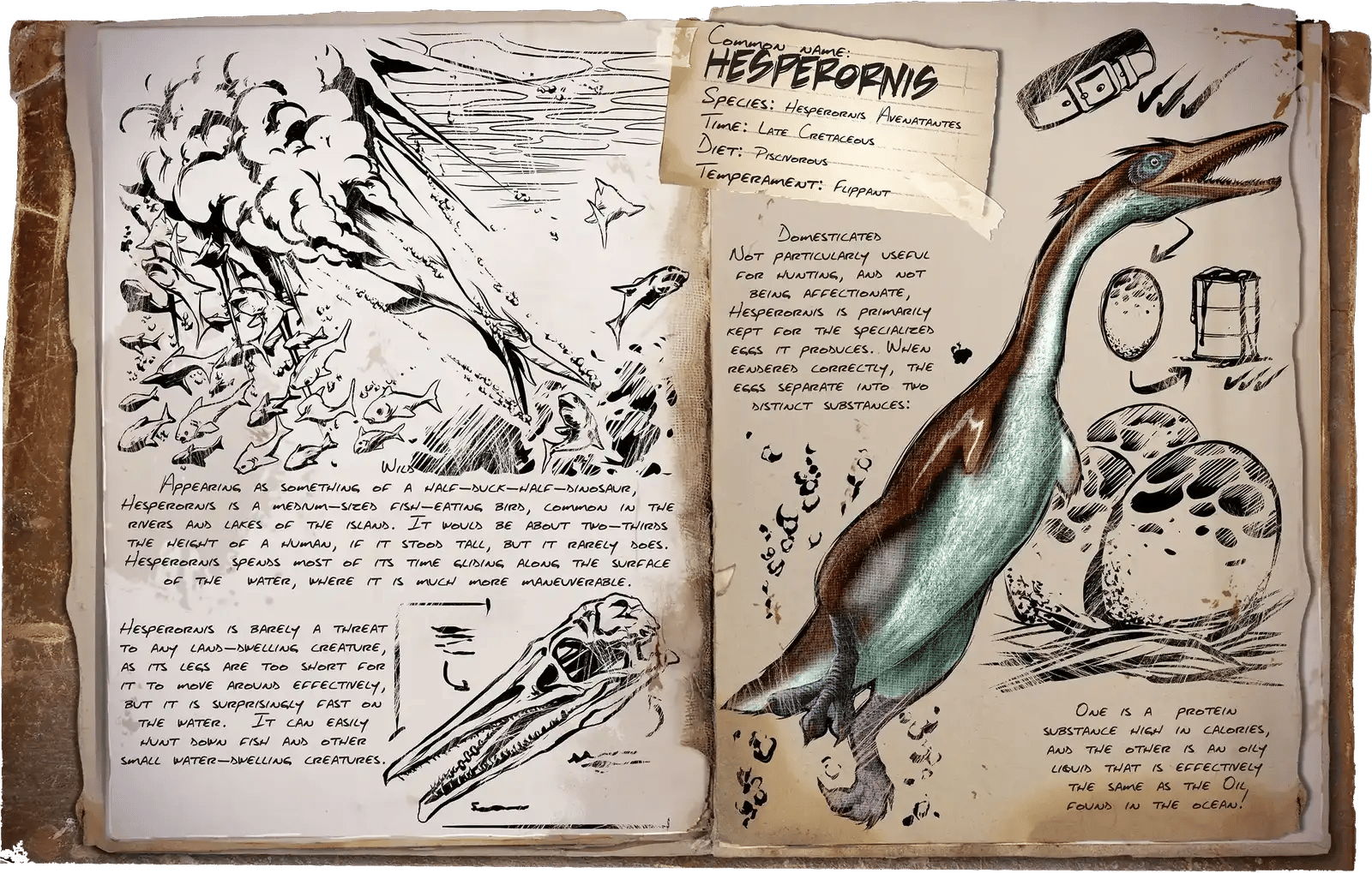 Hesperornis Dossier