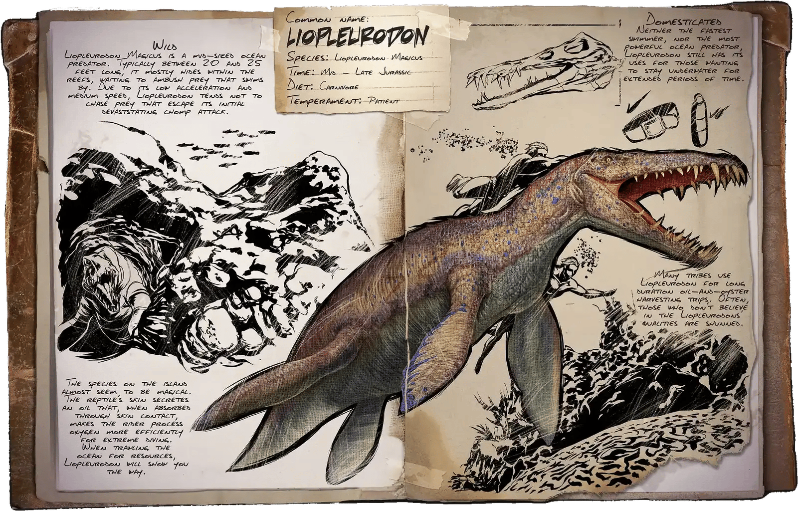 Liopleurodon Dossier