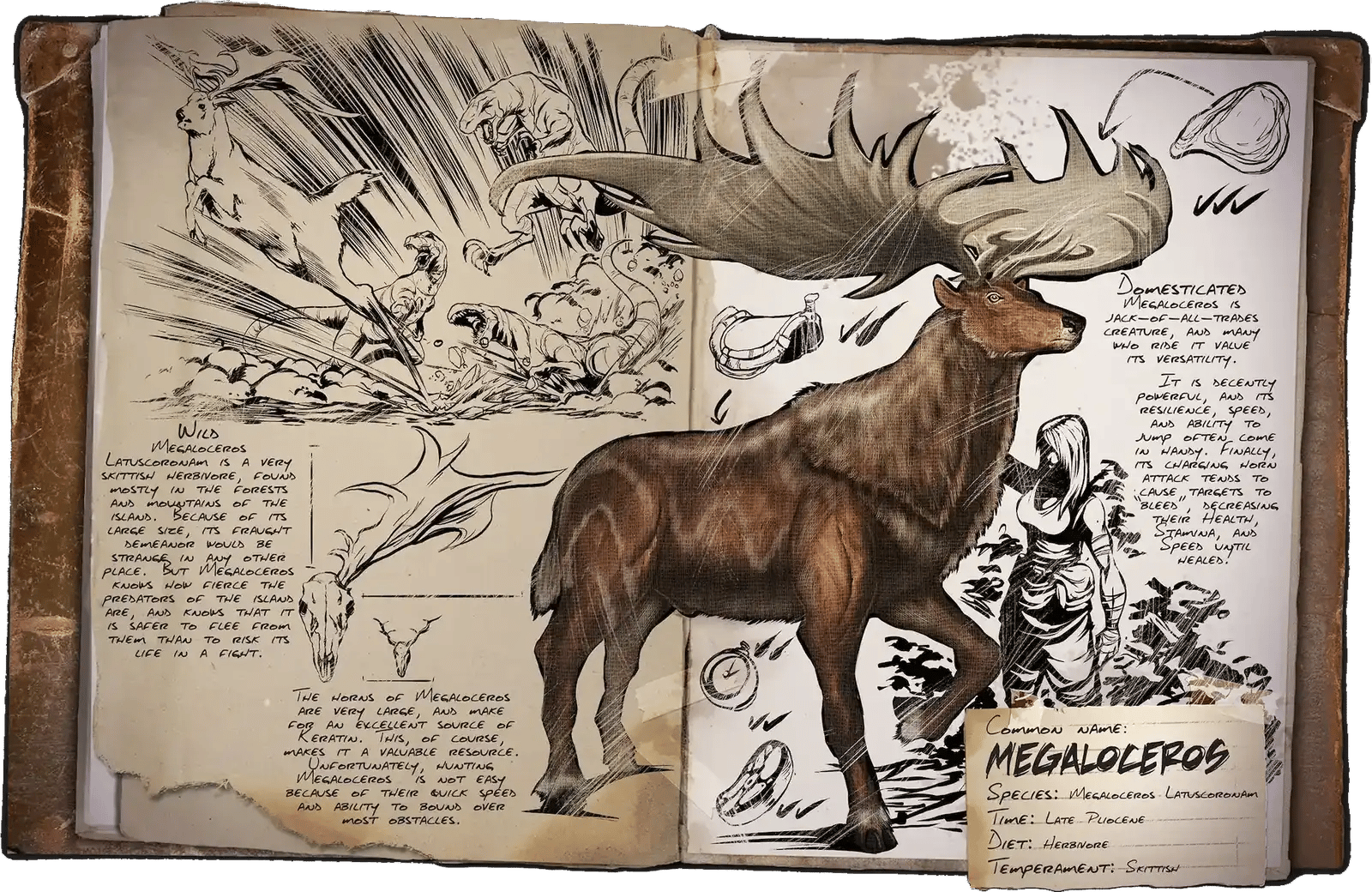 Megaloceros Dossier