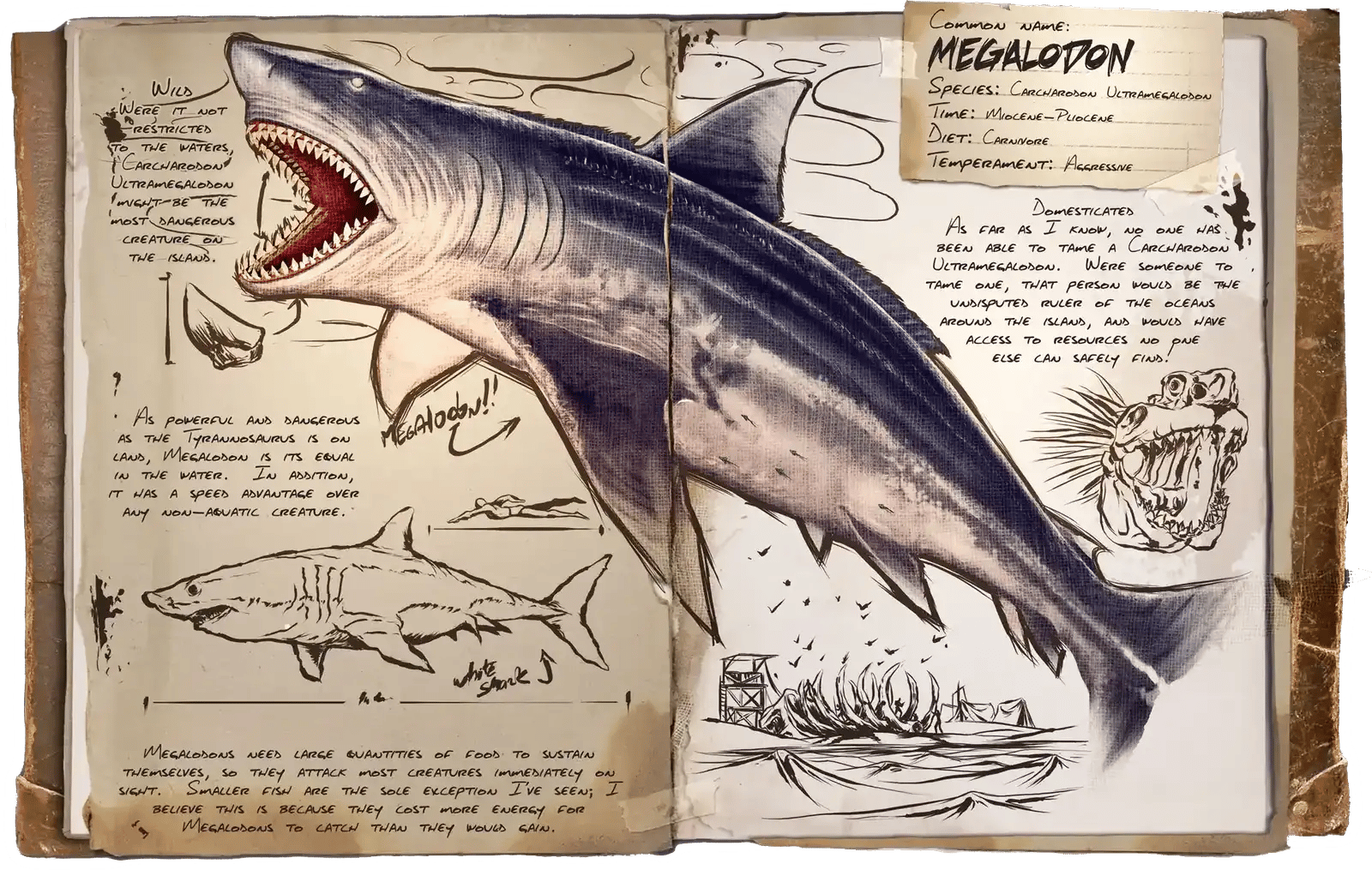 Mégalodon Dossier