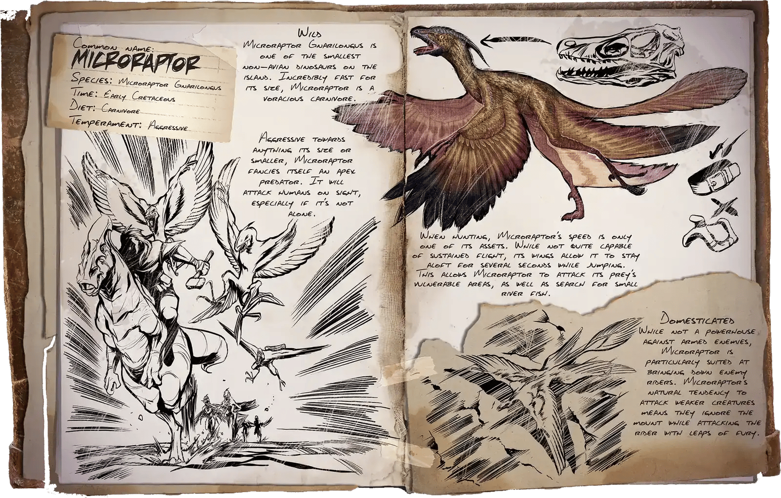 Microrap Dossier