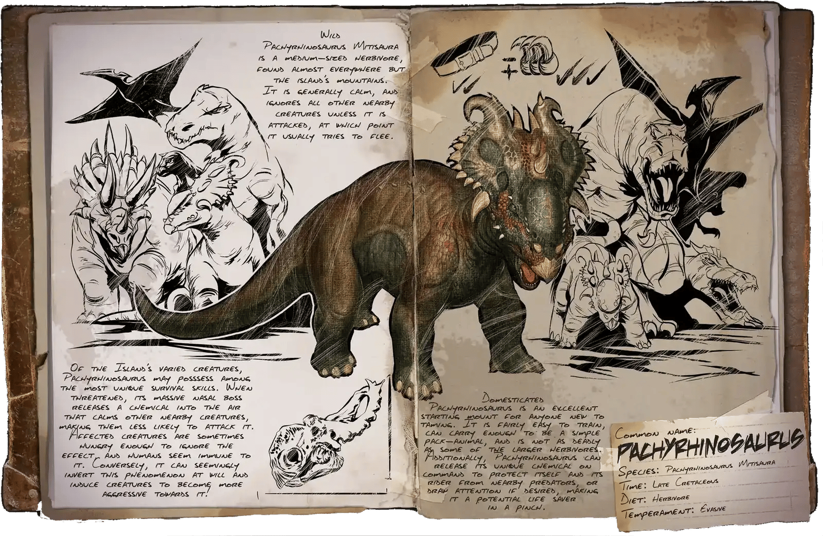 Pachyrhinosaure Dossier