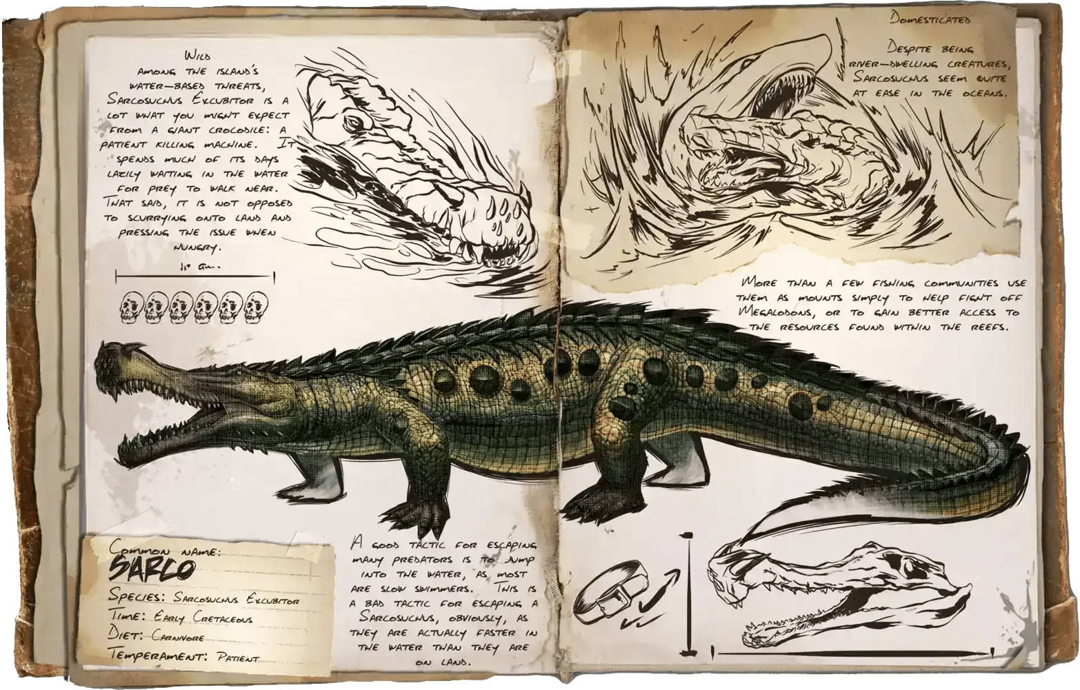 Sarcosuchus Dossier