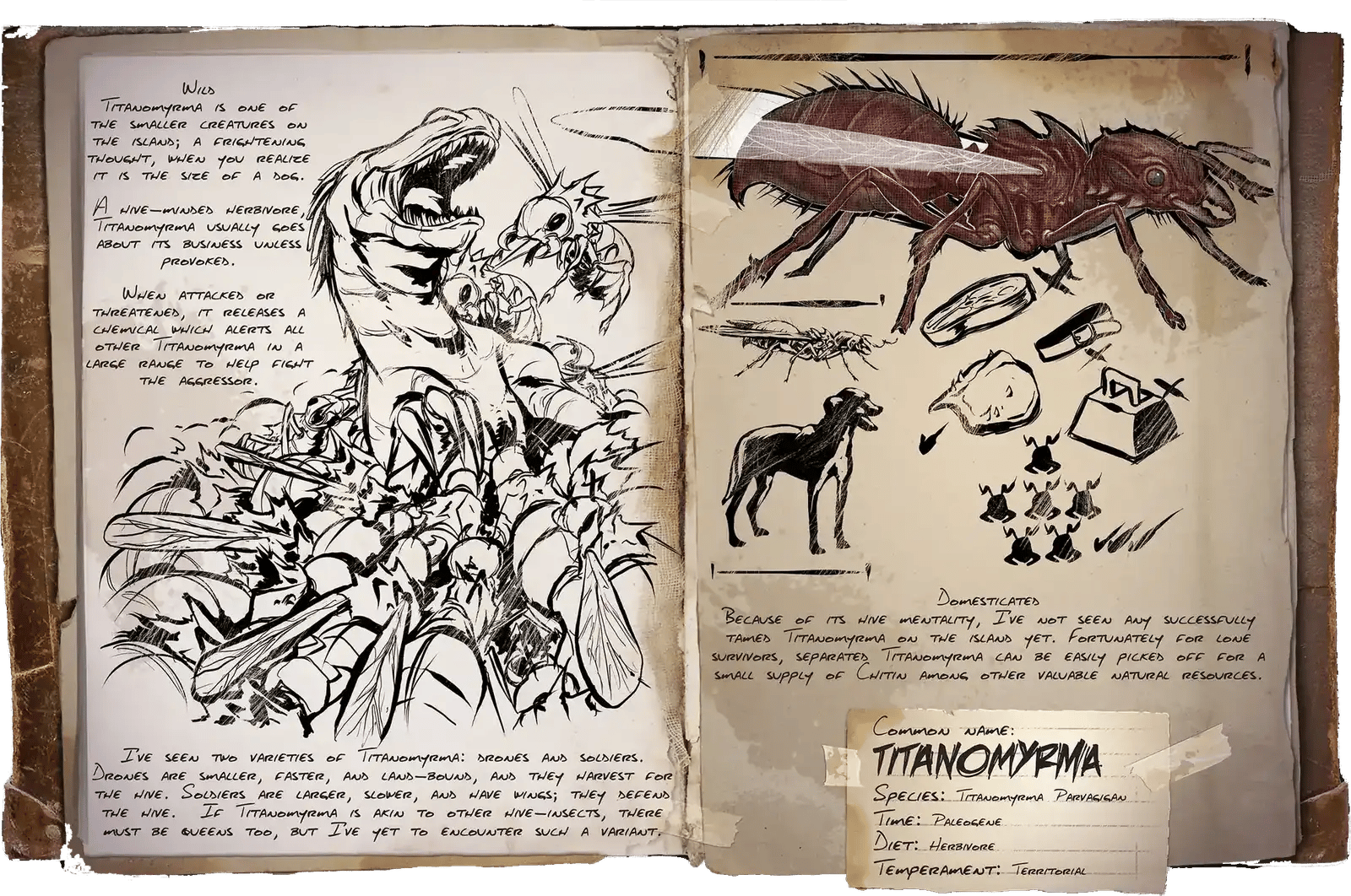 Titanomyrma Soldado Dossier