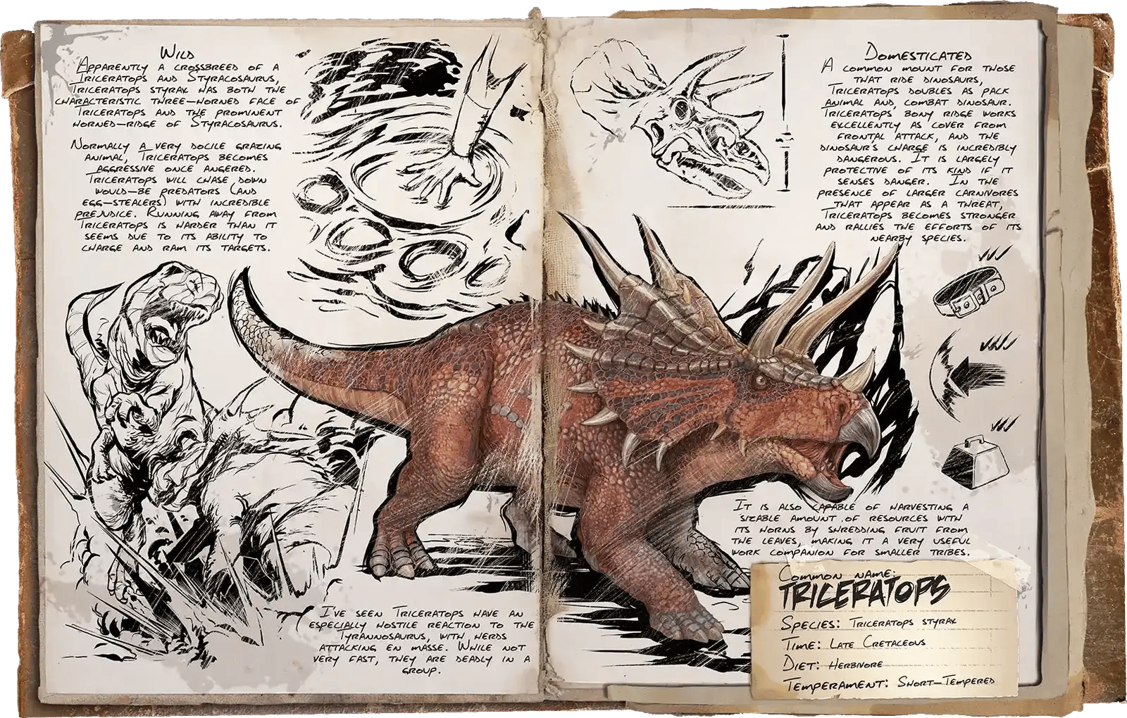 Tricératops Dossier