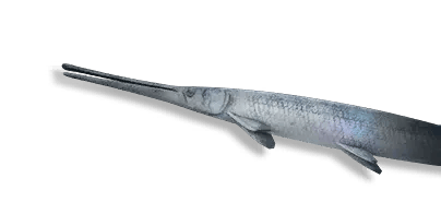 Blueprint: Frozen Alligator Gar