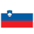 Slovenščina flag