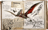 Pteranodon