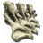 Sauropod Vertebra