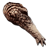 Alpha Carnotaurus Arm