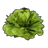 Латук