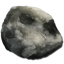 Clam