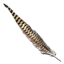 ARK: Survival Ascended crafting material - Plume de Dragon Rocheux