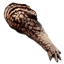 ARK: Survival Ascended crafting material - Alpha Carnotaurus Arm