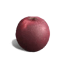 Once Human Apple icon