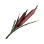 Once Human Scharlach-Kalmus icon