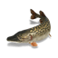 Once Human Northern Pike icon
