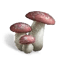 Once Human Deviated Mushroom icon