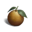 Once Human Orange icon