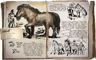 equus