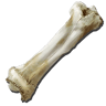 Os de dinosaure