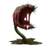 Carnivorous Plant Trap