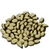 Citronal Seed (Child)