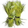 Grass Ghillie Leggings