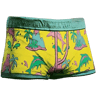 Ichthy Island Swim Shorts
