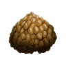 Base Egg Kibble