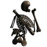Bones (Trophy Skeleton Bones03)
