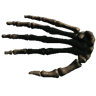 Hand (Trophy Skeleton Hand01 2)
