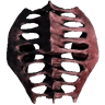 Ribcage (Trophy Skeleton Raptor 06)