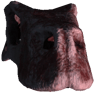 Skull (Trophy Skeleton Raptor 07)