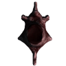 Vertebrae (Trophy Skeleton Rex 03)