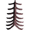 Ribcage