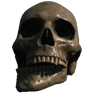 Skull (Jaw Offset)