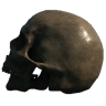 Skull (Left Facing Jaw Offset)
