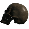 Skull (Left Facing Mouth Closed)