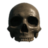 Skull (No Jaw)