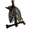 Oberkörper