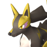 Rayhound