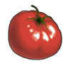 Tomate