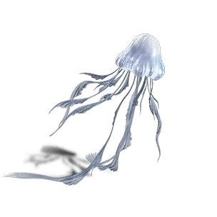 Medusa polar